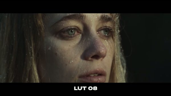 Кадр видео после цветокоррекции LUT для кино вариант 8