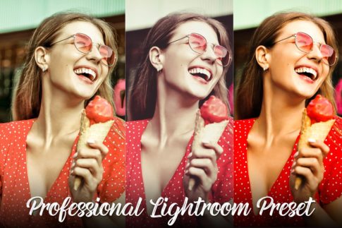 Обложка набора пресетов 25 Professional для Lightroom