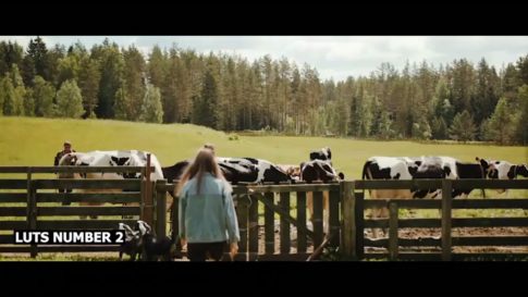 Пример работы LUT из набора Ретро-LUT для деревенского видео Vintage Farm