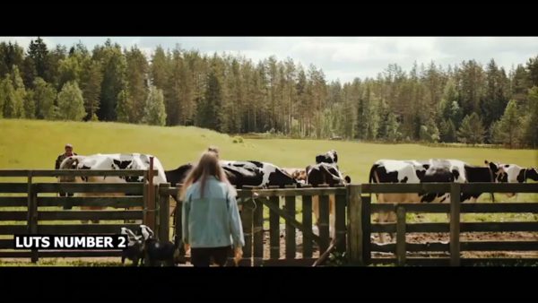 Пример работы LUT из набора Ретро-LUT для деревенского видео Vintage Farm