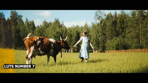 Кадр видео после цветокоррекции LUT для ретро вариант 6