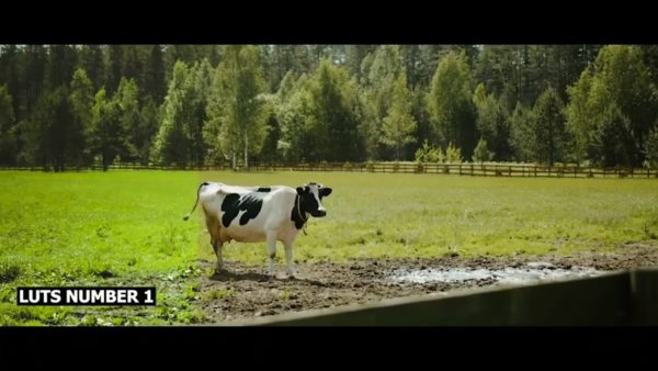 Постер набора Ретро-LUT для деревенского видео Vintage Farm