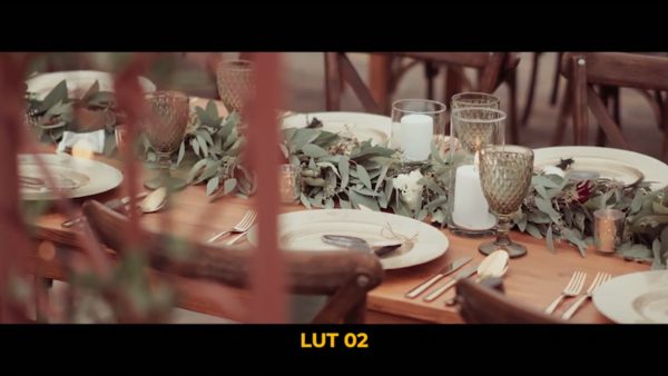 Кадр видео после цветокоррекции LUT для свадьба вариант 3
