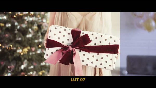Кадр видео после цветокоррекции LUT для праздник вариант 3