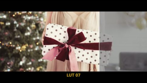 Кадр видео после цветокоррекции LUT для праздник вариант 3