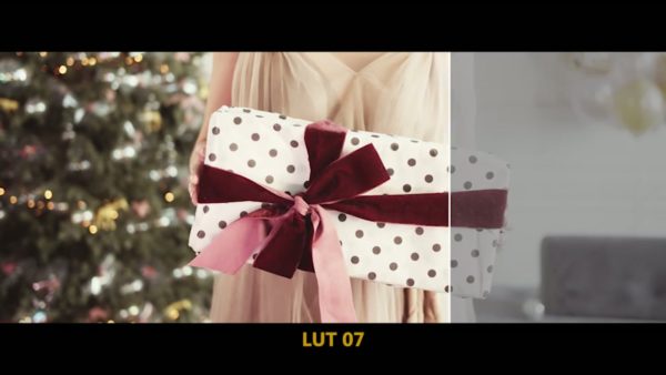 Кадр видео после цветокоррекции LUT для праздник вариант 3
