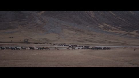 Постер набора S-Log2 LUT для дикой природы видео Wildlife S-Log2