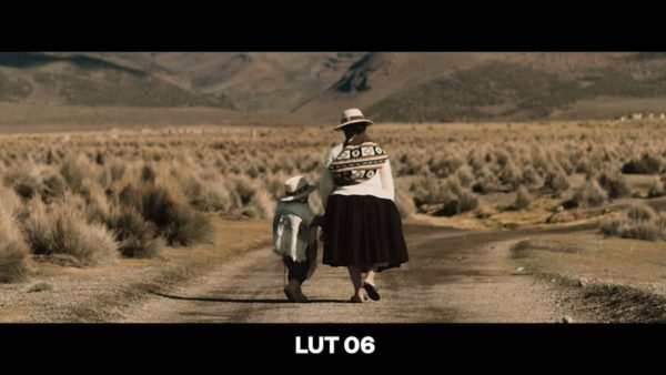 Кадр видео после цветокоррекции LUT для s-log3 вариант 5