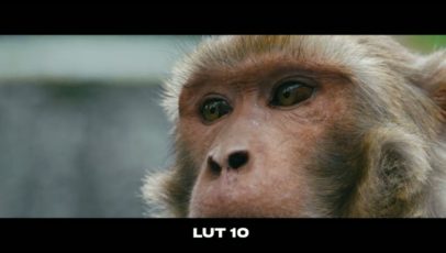 Кадр видео после цветокоррекции LUT для s-log3 вариант 4