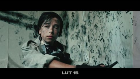 Кадр видео после цветокоррекции LUT для s-log3 вариант 2