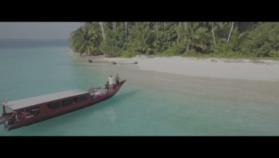 Постер набора S-Log3 летние LUT для видео Hot Summer