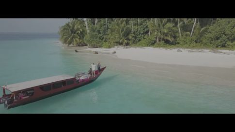 Постер набора S-Log3 летние LUT для видео Hot Summer