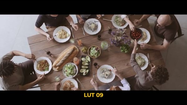 Кадр видео после цветокоррекции LUT для семья вариант 4