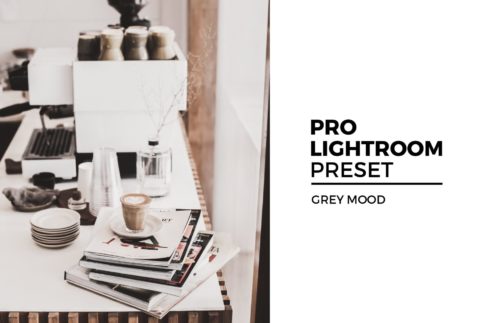 Обложка набора пресетов Grey Mood для Lightroom