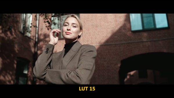 Кадр видео после цветокоррекции LUT для slog3 вариант 8