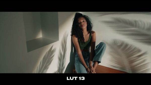 Кадр видео после цветокоррекции LUT для slog3 вариант 7