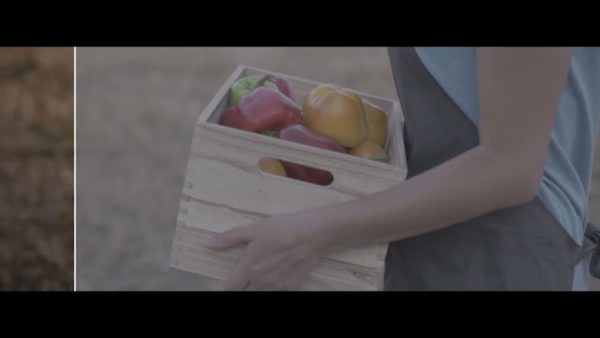 Кадр видео после цветокоррекции LUT для slog3 вариант 2