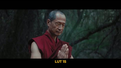 Кадр видео после цветокоррекции LUT для slog3 вариант 8