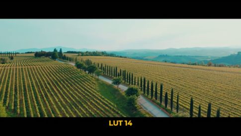 Кадр видео после цветокоррекции LUT для slog3 вариант 5