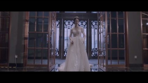 Пример работы LUT из набора Slog3 свадебные кино-LUT для видео Cinema Wedding