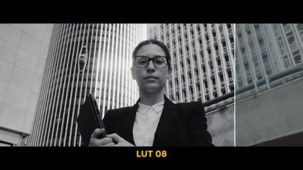 Кадр видео после цветокоррекции LUT для slog3 вариант 7