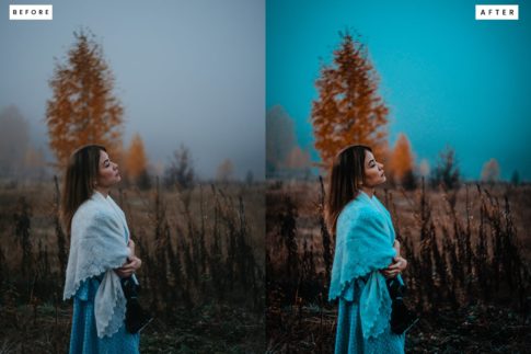 Пример винтажных фото после обработки пресетом из набора состаренная классика портрета пресеты