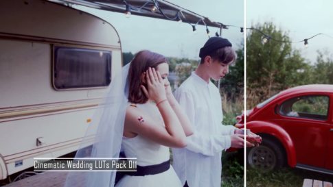 Пример работы LUT из набора Свадебные film-look LUT для видео Wedding Film Looks