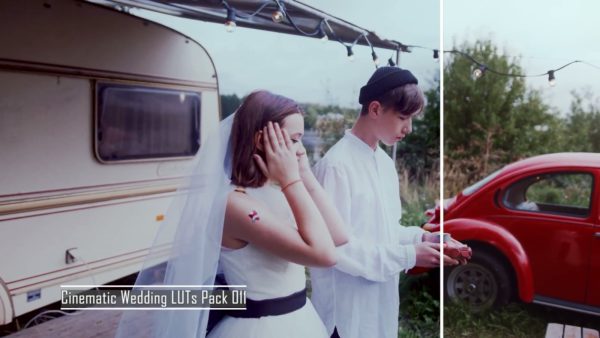 Пример работы LUT из набора Свадебные film-look LUT для видео Wedding Film Looks