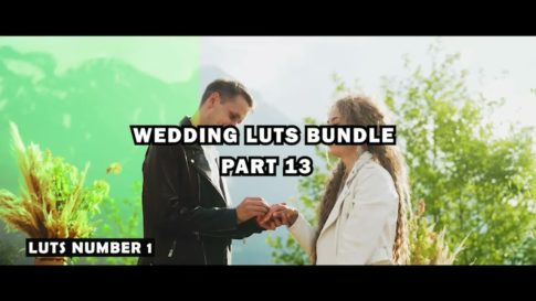 Постер набора Свадебные кино-LUT 30 профилей для видео Wedding Cinematic