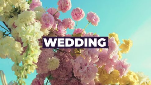 Постер набора Свадебные LUT для нежной цветокоррекции видео Wedding