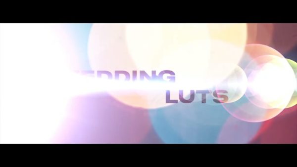 Постер набора Свадебные LUT для тёплой цветокоррекции видео Romantic Weddi
