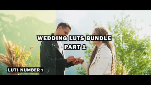 Постер набора Свадебные LUT для выездной церемонии и банкета Wedding Video