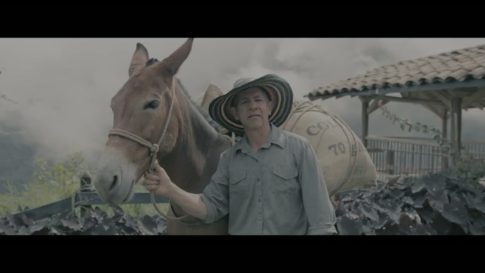 Пример работы LUT из набора Тёплые кино-LUT набор для видео Warm Cinematic Pack