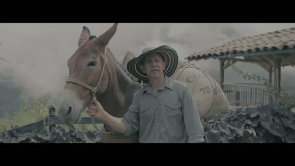 Пример работы LUT из набора Тёплые кино-LUT набор для видео Warm Cinematic Pack