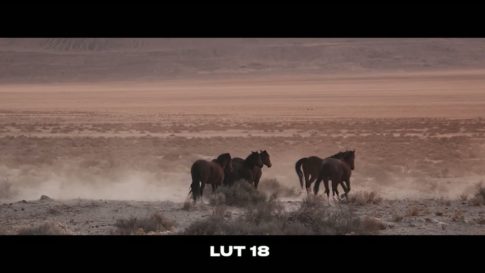 Кадр видео после цветокоррекции LUT для тёплые вариант 4