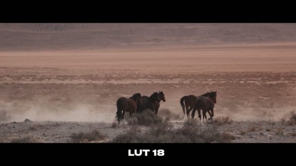 Кадр видео после цветокоррекции LUT для тёплые вариант 4