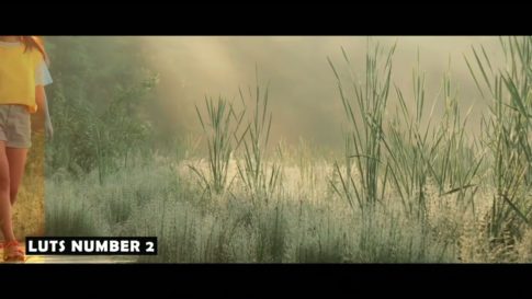 Пример работы LUT из набора Тёплые мрачные кино-LUT для видео Warm Moody