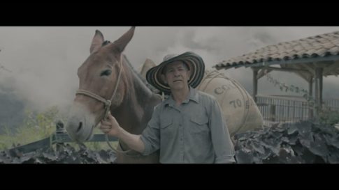 Пример работы LUT из набора Тёплые Slog3 LUT для видео Warm Cinematic Tones