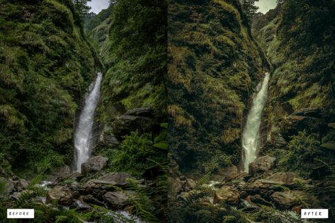 Фотография с цветокоррекцией из набора тревел пресеты с тёмной тропической зеленью
