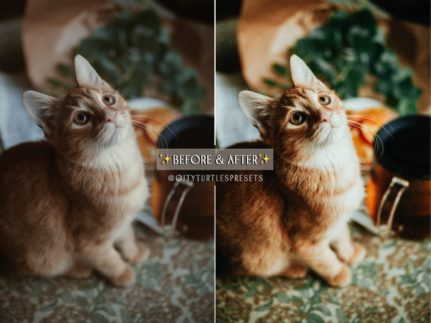 Пример обработки фото пресетом Clean Versatile Film в Lightroom, кадр 4
