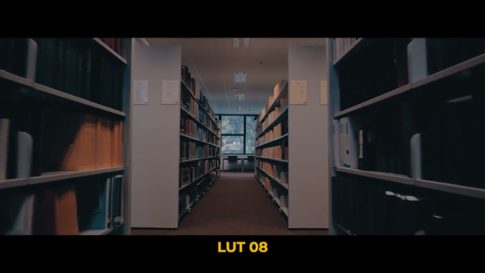 Кадр видео после цветокоррекции LUT для v-log вариант 2