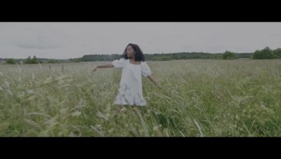 Постер набора V-Log кино-LUT для видео Standard Cinematic