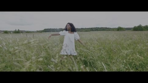 Постер набора V-Log кино-LUT для видео Standard Cinematic