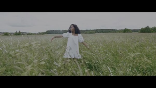 Постер набора V-Log кино-LUT для видео Standard Cinematic