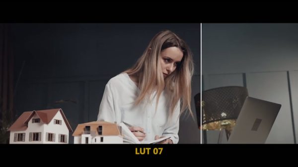 Кадр видео после цветокоррекции LUT для v-log вариант 3