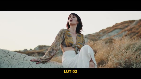Кадр видео после цветокоррекции LUT для v-log вариант 4