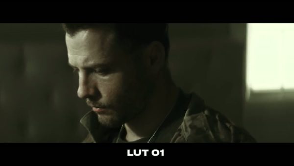 Кадр видео после цветокоррекции LUT для v-log вариант 4