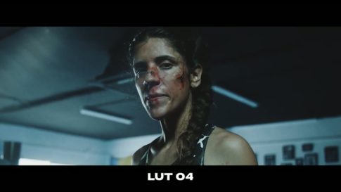 Кадр видео после цветокоррекции LUT для v-log вариант 6
