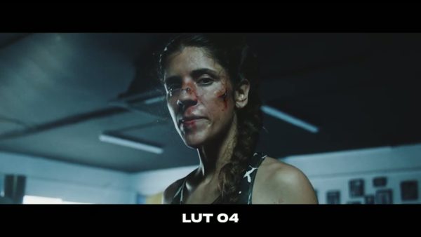 Кадр видео после цветокоррекции LUT для v-log вариант 6