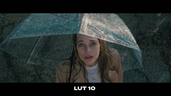 Кадр видео после цветокоррекции LUT для v-log вариант 4